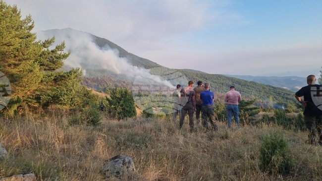 Област Благоевград - горски пожари - село Сенокос