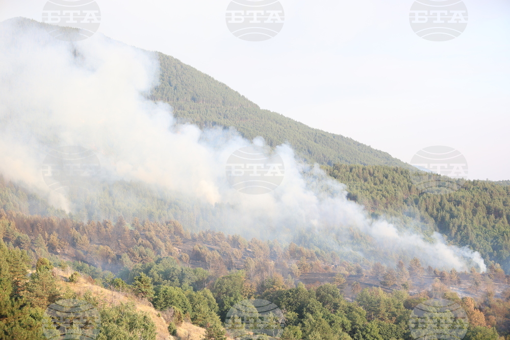 Област Благоевград - горски пожари - село Сенокос