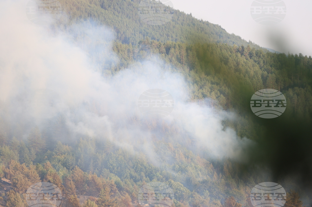 Няколко пожара горят в Ловешка област, всички те са причинени от хора, каза за БТА директорът на пожарната комисар Петър Петров