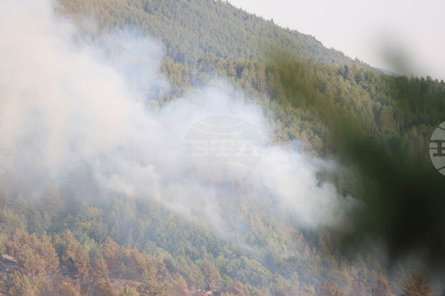 Локализиран е пожарът, който възникна по-рано в землището на Якоруда, съобщи за БТА кметът Мехмед Вакльов