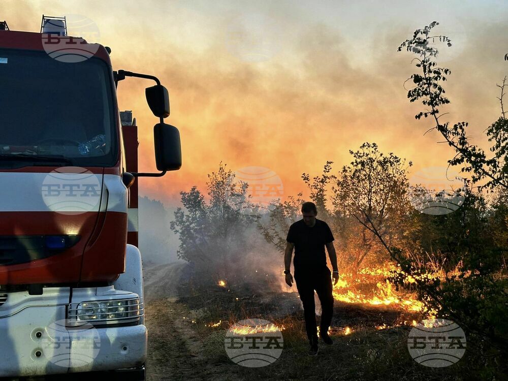 Пожарът в района на учебния полигон „Елена“ е потушен, съобщиха от Министерството на отбраната