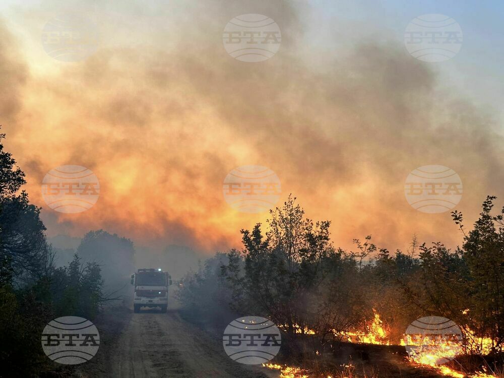Fire in Area of Elena Training Ground Put Out
