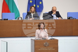 Народно събрание - заседание - Илиана Жекова