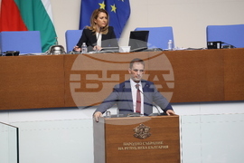 Народно събрание - заседание - Севим Али