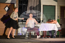 Вършец - театър