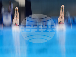 Paris Olympics Diving