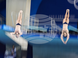 Paris Olympics Diving