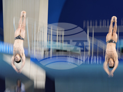 Paris Olympics Diving