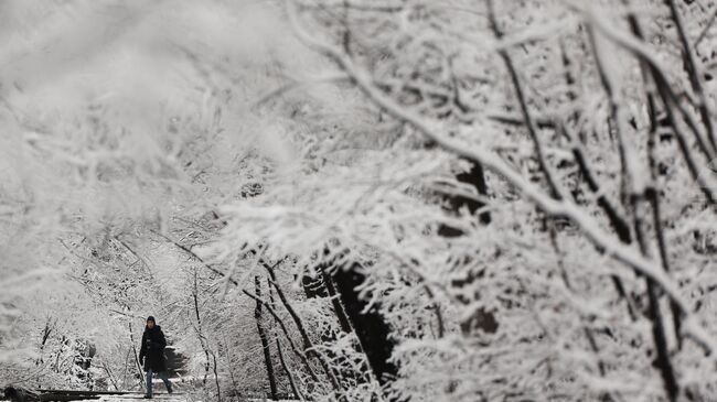 Близо 19 000 домакинства в североизточната част на Словения продължават да са без електричество заради обилните снеговалежи