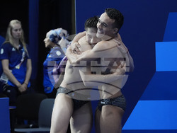 Paris Olympics Diving