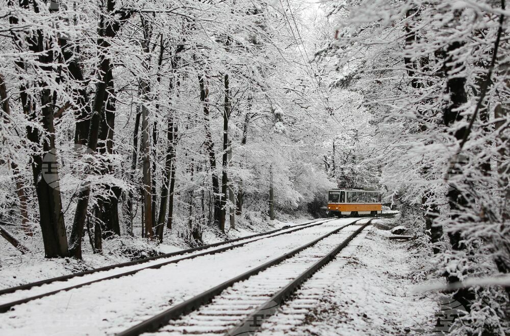 "Зелен билет" за 1 лв. за градския транспорт и безплатно паркиране в буферните паркинги на метрото се въвеждат за утре и петък в София
