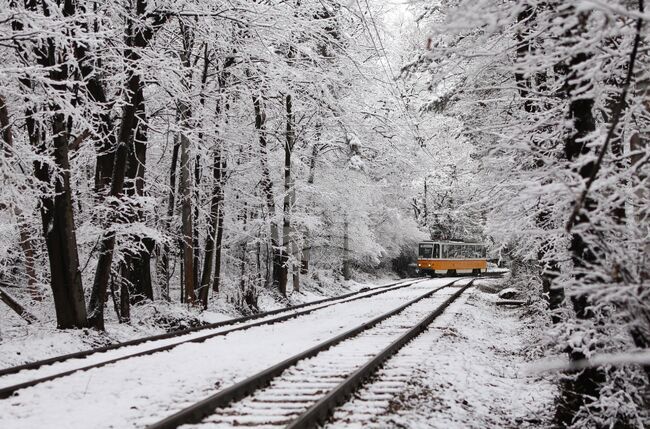 "Зелен билет" за 1 лв. за градския транспорт и безплатно паркиране в буферните паркинги на метрото се въвеждат за утре и петък в София