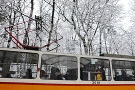 Зима