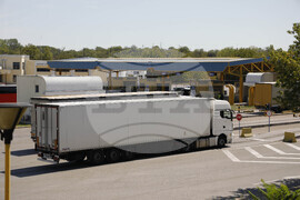 Русе - ГКПП „Дунав мост" - трафик