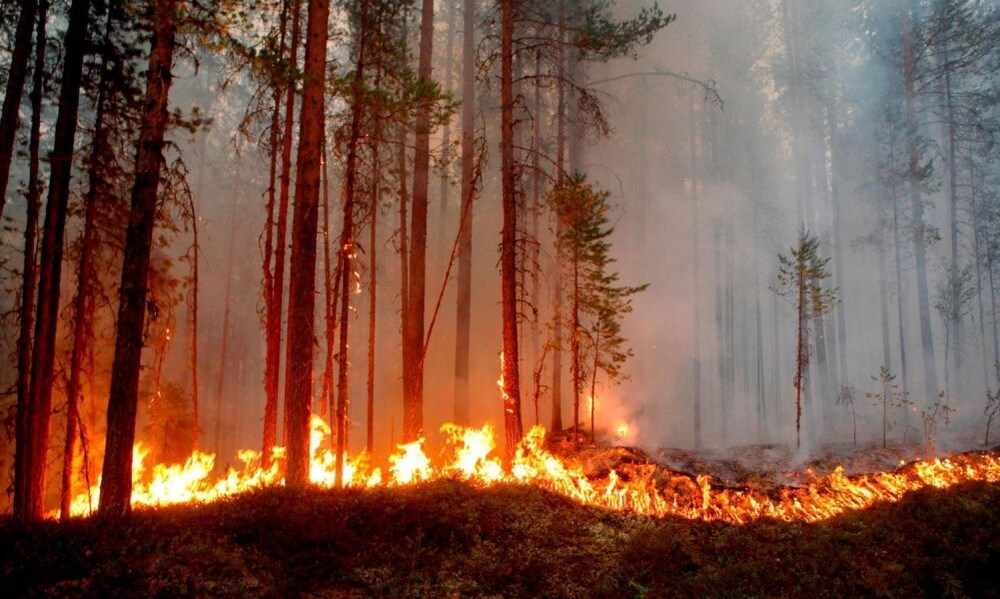 ОА Смолян: Областният управител Захари Сираков призовава всички граждани да спазват стриктно противопожарните мерки