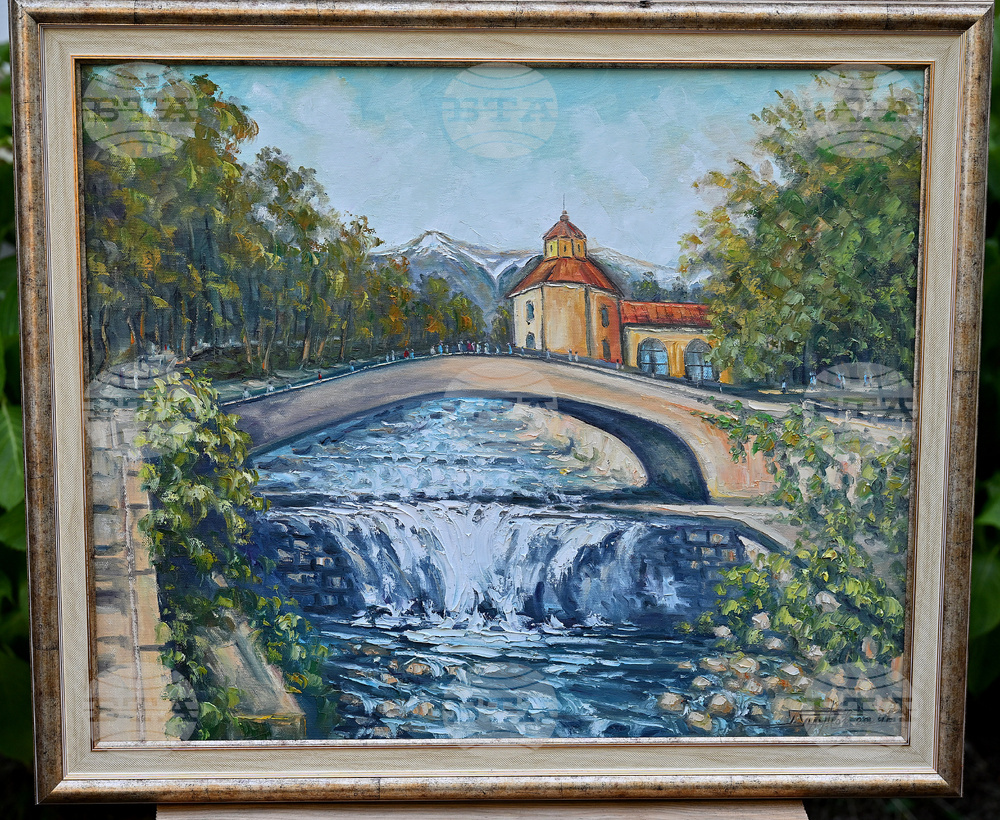 Вършец - пленер - изложба