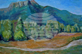 Вършец - пленер - изложба