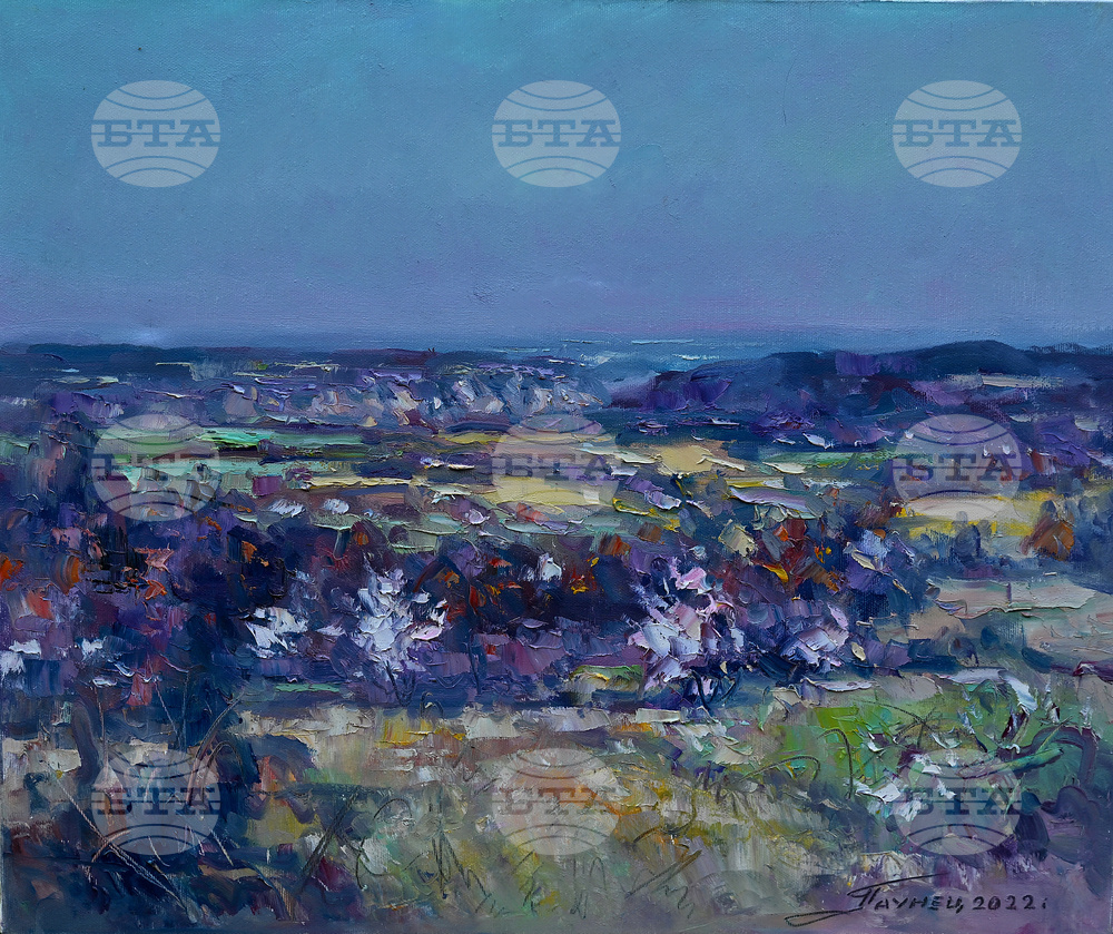 Вършец - пленер - изложба