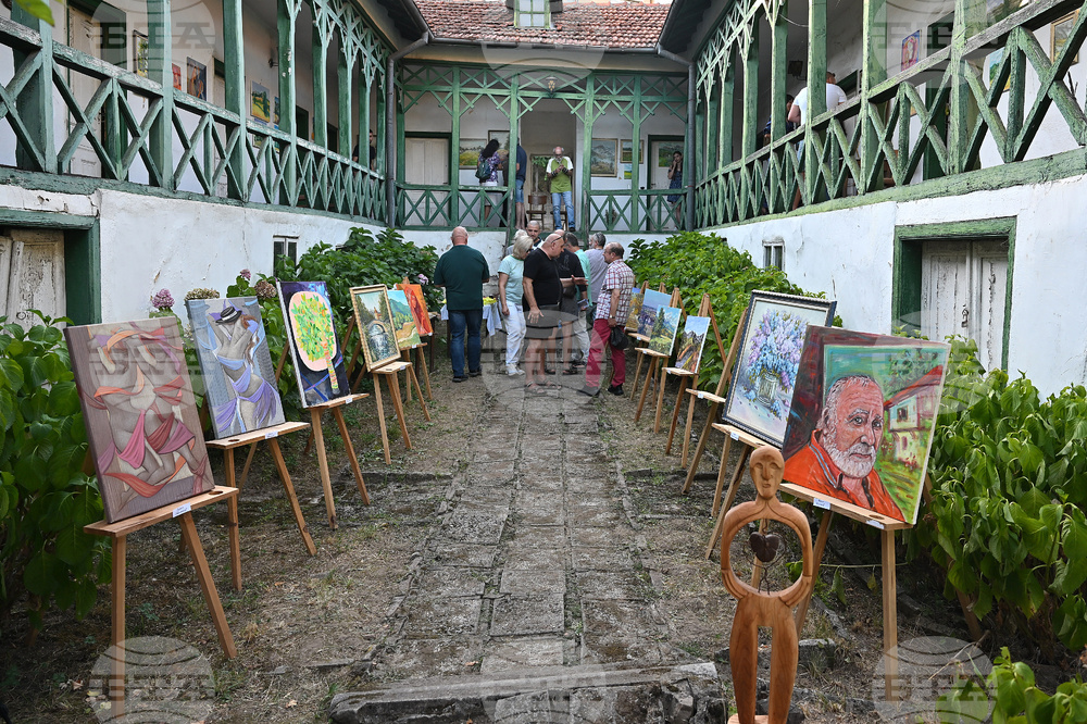 Вършец - пленер - изложба