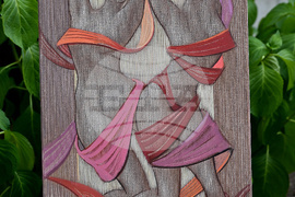 Вършец - пленер - изложба