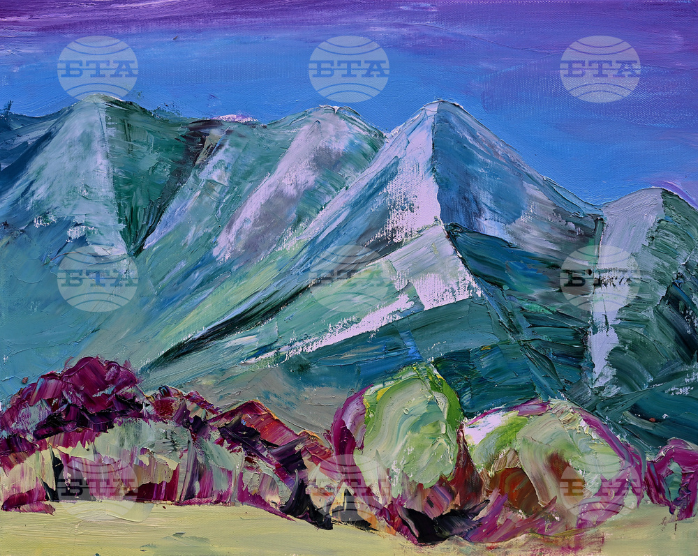 Вършец - пленер - изложба