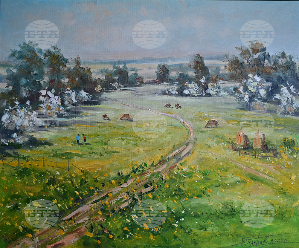 Вършец - пленер - изложба