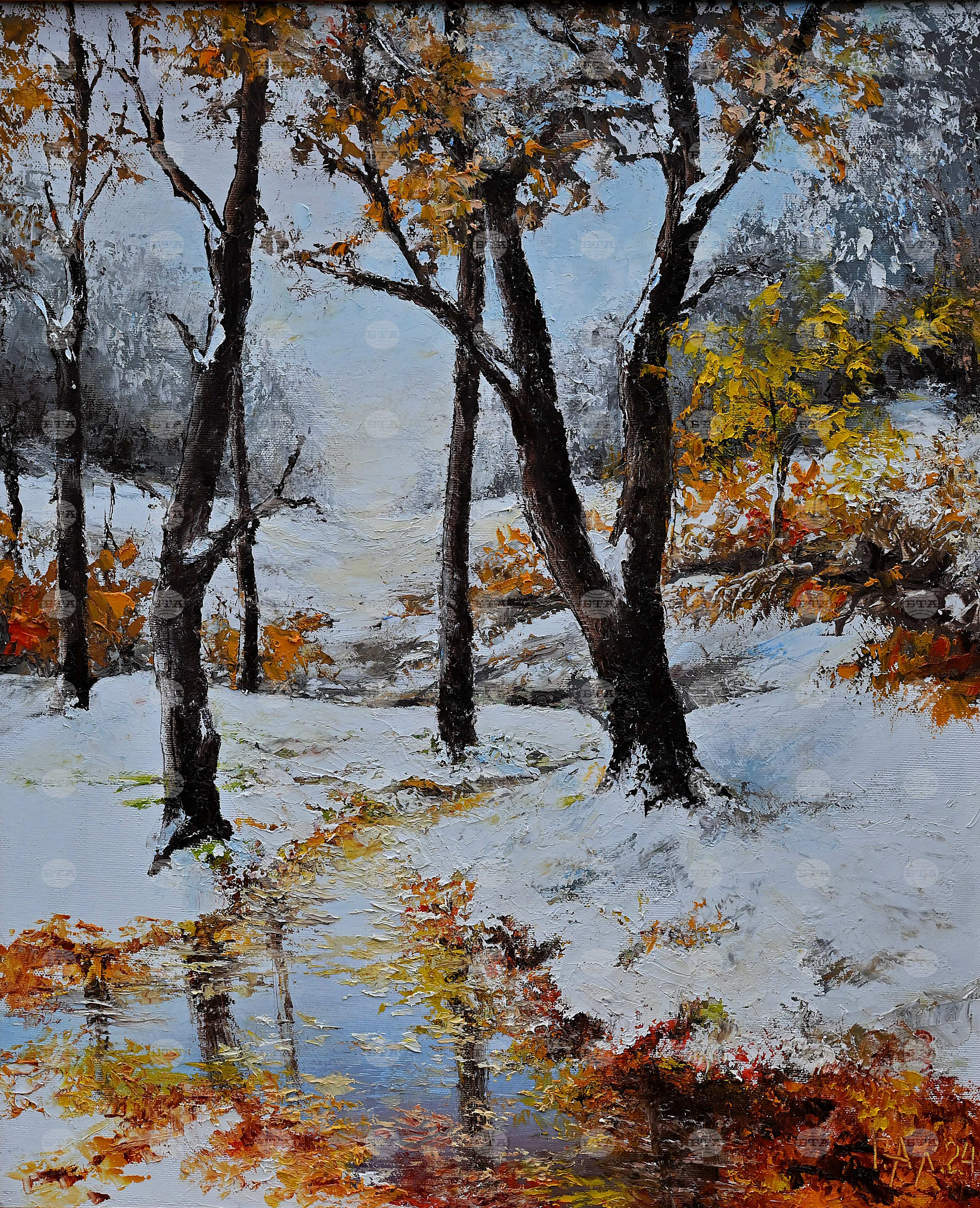 Вършец - пленер - изложба