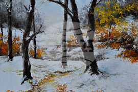 Вършец - пленер - изложба