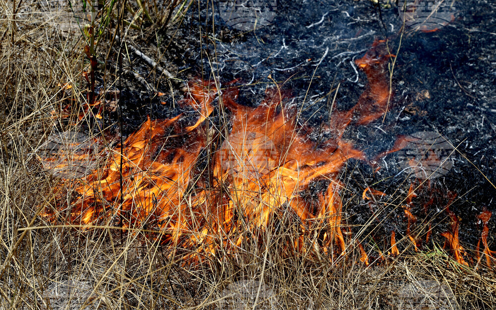 Варна - сухи треви - пожар