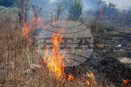 Варна - сухи треви - пожар