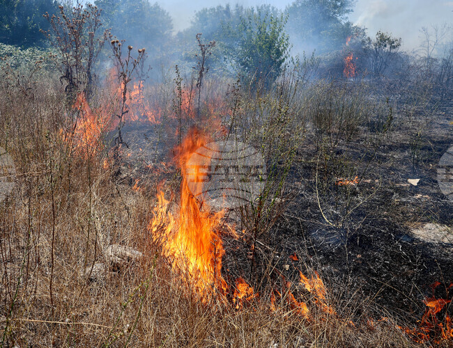 Сухи треви и храсти горяха в старозагорския квартал „Атюрен“ 