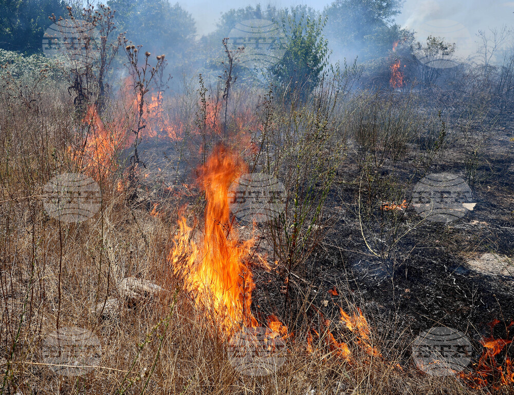 Варна - сухи треви - пожар