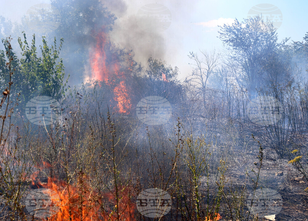Варна - сухи треви - пожар