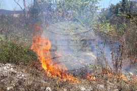 Варна - сухи треви - пожар