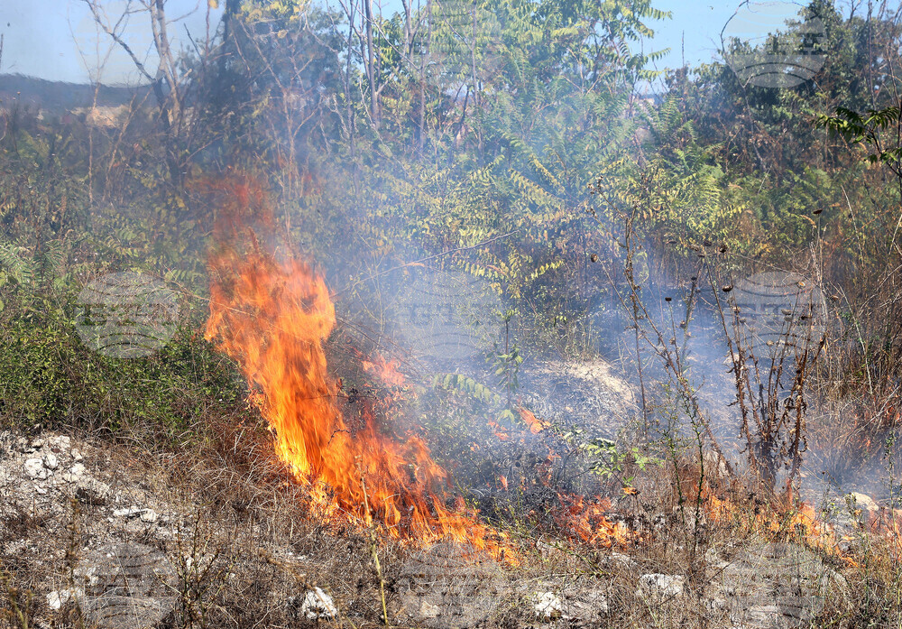 Варна - сухи треви - пожар