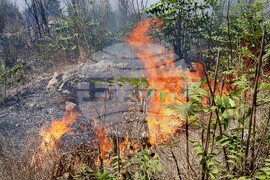 Варна - сухи треви - пожар