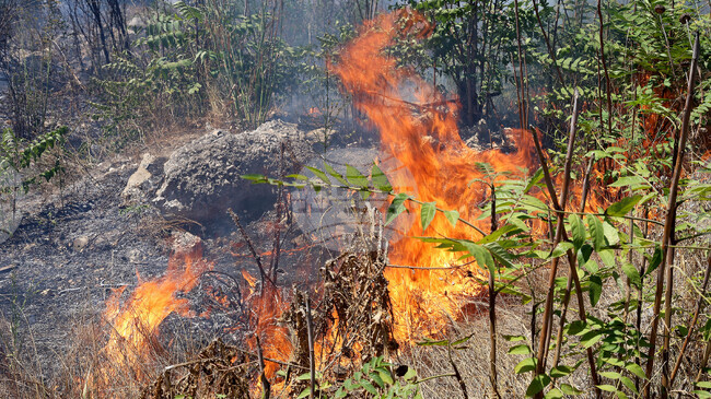 Задържаният за пожара до бензиностанция на пътя София – Варна в района на Боаза остава в ареста с прокурорско постановление до 72 часа