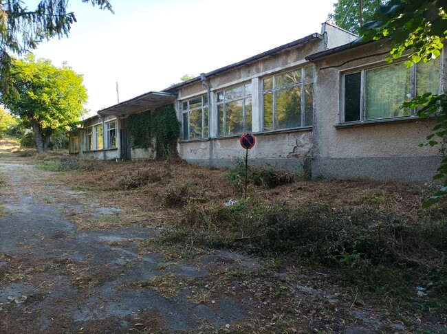 Община Плевен: Почистват района на бившата ветеринарна лечебница в Плевен, местят част от дейността на приюта за безстопанствени животни 