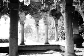 Ботаническата градина в Балчик