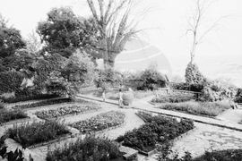 Ботаническата градина в Балчик