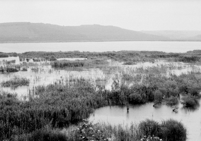 Поддържан резерват "Сребърна"