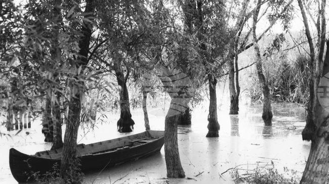 November 3: International Day for Biosphere Reserves 