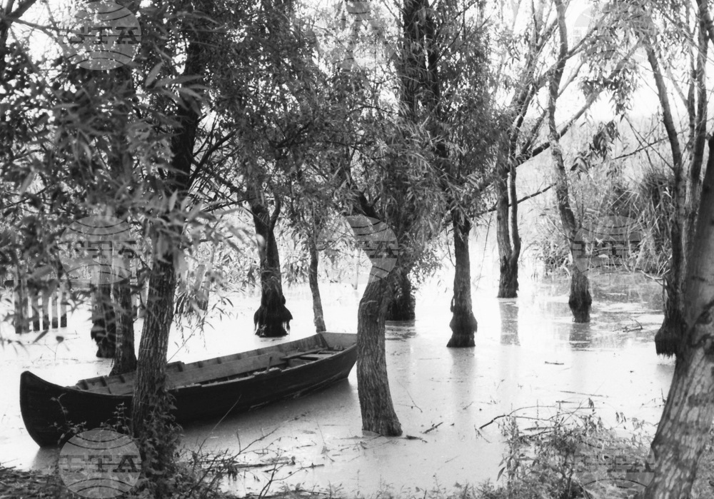 November 3: International Day for Biosphere Reserves 