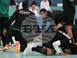 Paris Olympics Handball