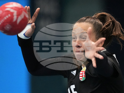 Paris Olympics Handball