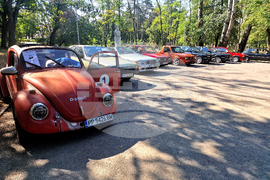 Разград - ретро автомобили - парад