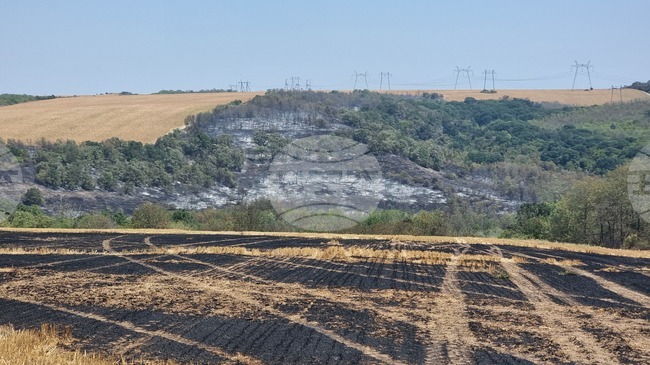 Село Лозница - пожар
