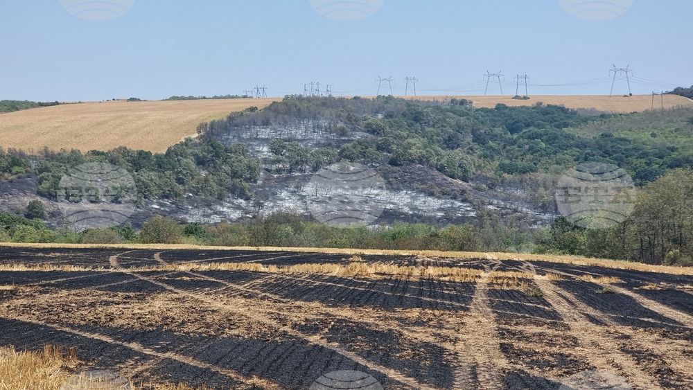Село Лозница - пожар
