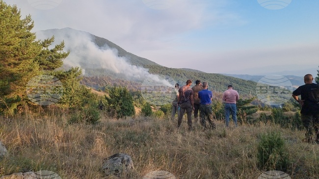 България е в челната класация по горски пожари в ЕС за 2024 г., втора след Кипър според Европейската информационна система за горски пожари (EFFIS)