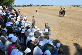 Завет - конни надбягвания